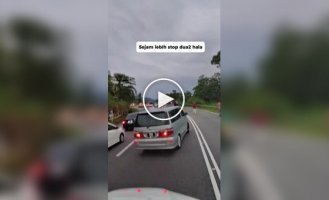Drivers stood in a traffic jam for over an hour because of elephants on the road