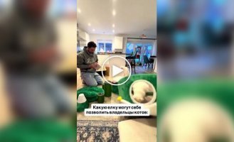 елка, которую коты точно не уронят