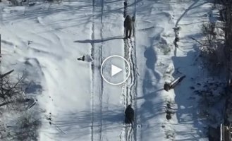 One occupier walks with crutches, and another crawls on all fours along a snowy road near Chasov Yar