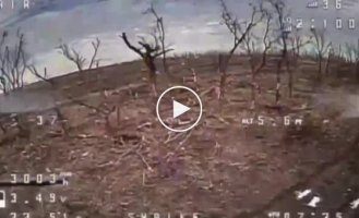 Ukrainian FPV drones attack Russian infantry in the Avdeevsky direction