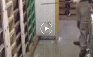 Камера наблюдения в серпентарии
