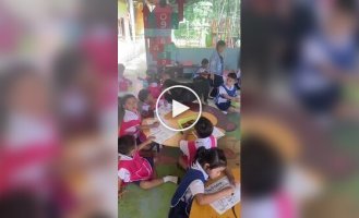 Give him a piece of paper and pencils: the dog came to kindergarten to study