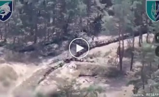 Сили оборони обстріляли групу росіян разом із технікою на Херсонщині