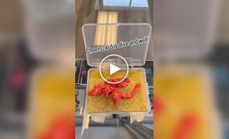 Мужчина установил рекорд Гиннеса за самую дорогую покупку чипсины