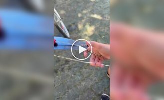 Необычный музыкальный инструмент, звук которого знаком почти каждому