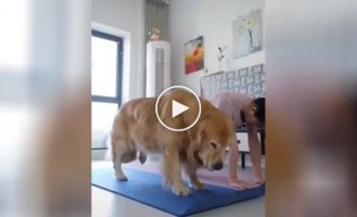 The dog and his owner showed by their own example the importance of exercise