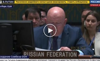 Постпред РФ в ООН Небензя считает, что помощь Запада Украине является «подстрекательством к насилию»