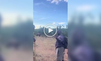 What to do when meeting a rhinoceros