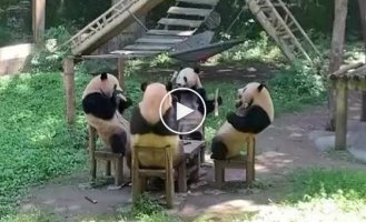 You sit like this with friends at a bar