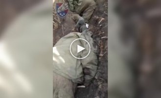 Тела оккупантов валяются в окопе на отвоеванной украинскими воинами позиции