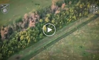 Воины 66 ОМБр атаковали мотоцикл с оккупантом прямо на ходу на Лиманском направлении