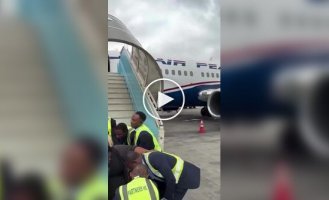 Погрузка бодипозитивной активистки в самолет