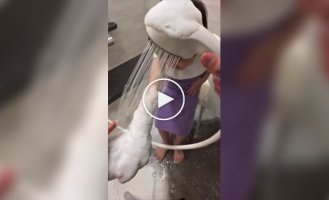 В Японии создали «умный» душ с режимом пены