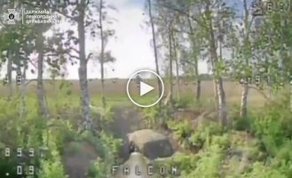 Пограничники поразили орудия, точки запуска дронов, наблюдательные пункты и огневые позиции россиян