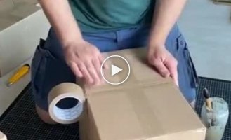 Making a cat castle from boxes with your own hands