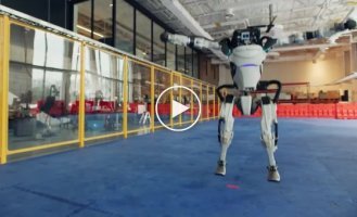 Новое зажигательное видео от BOSTON DYNAMICS