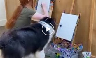 Amazing dog that can draw