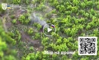 Destruction of the Russian occupier in the bushes