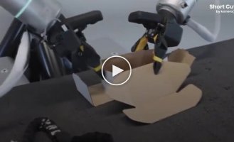 В Китае показали робота, аккуратно складывающего посылочную коробку