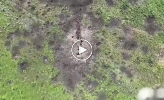 Ukrainian drone drops a grenade into the trenches of the Russian military in the Eastern direction