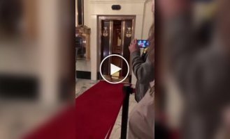 Утки на красной дорожке отеля