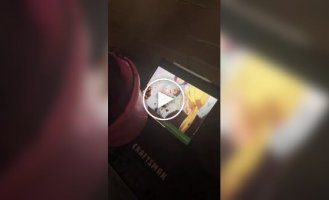 Конь-анимешник