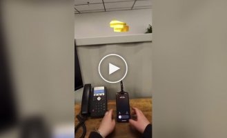 Сотрудник офиса прикрыл своего коллегу