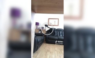 A Labrador grabbed a surveillance camera with its teeth and filmed a tour of the house