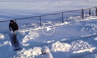 Снежный собачий рай