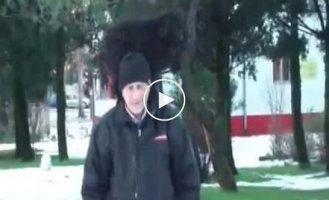 Пес лентяй