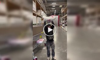 Friends and a cunning plan