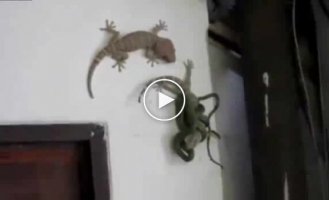 Освобождение и помощь другу