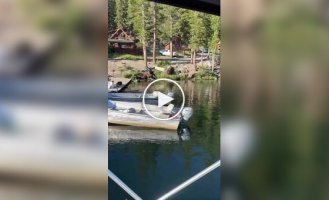 A fisherman got off easy Frightened