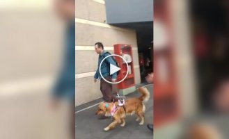 Passers-by in Columbia filmed a dog search