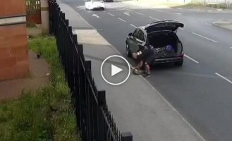 Мужчину арестовали за то, что он напустил крыс в сторону мечети