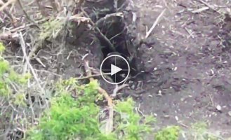 National Guardsmen destroyed electronic warfare equipment, personnel, and warehouses with ammunition of the Russians