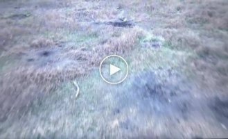 Attempt to shoot down Ukrainian drone failed