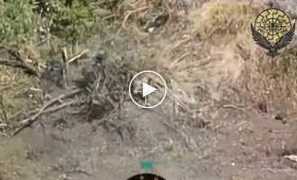 Ukrainian defenders from the 110th brigade attacked enemy infantry right at the engineering structures