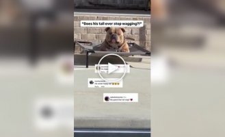 Найщасливіший пес