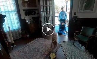 Пес встречает свою хозяйку, недавно вернувшуюся из космоса