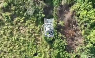 A Ukrainian drone destroys a Russian BMD-4M near the village of Staromayorskoe in the Donetsk region