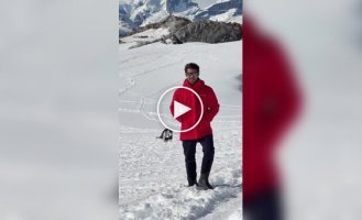 Турист хотел снять пейзаж Антарктиды, но кадр неожиданно «украли» пингвины