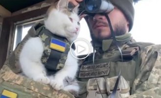 If you thought that only our valiant guys and girls are in the Armed Forces of Ukraine, then you were mistaken