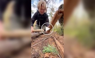 Музикант показав, як звучить техно без обладнання — тільки палиці та ритм