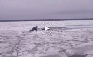 Спасение провалившейся под лед лосихи в Нижегородской области