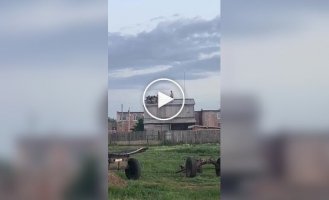 A flock of sheep climbed onto the roof of the hayloft and could not get down