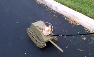 Собачка в костюмчике танка