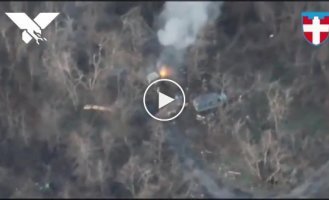 Drones of the 100th Brigade of the Territorial Defense Forces of Ukraine in action