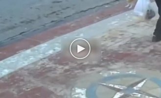 Чоловік прийшов на допомогу коту