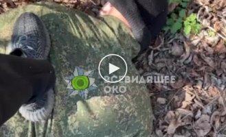 Херсонские партизаны передают привет оккупантам